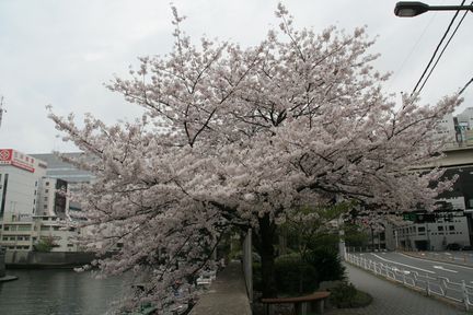 {쉈̃TN(2006.04.02Be)